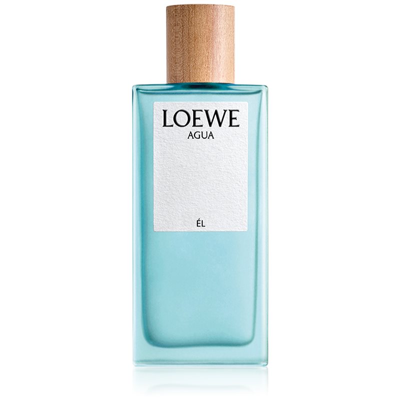 Loewe Agua Él Eau De Toilette For Men 100 Ml