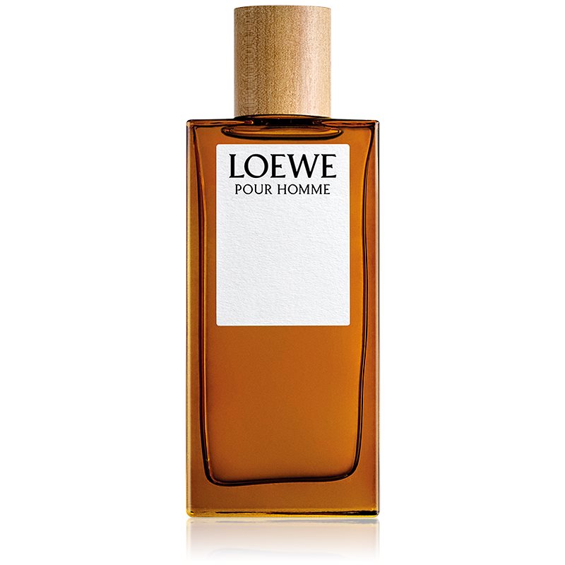 Loewe Loewe Pour Homme туалетна вода для чоловіків 100 мл