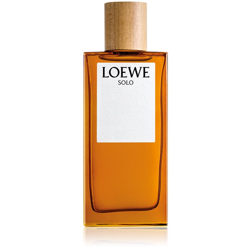 Photos - Women's Fragrance Loewe Solo eau de toilette for men 100 ml 