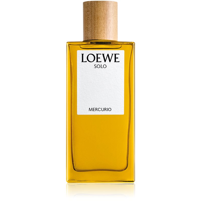 Loewe Solo Mercurio parfumovaná voda pre mužov 100 ml