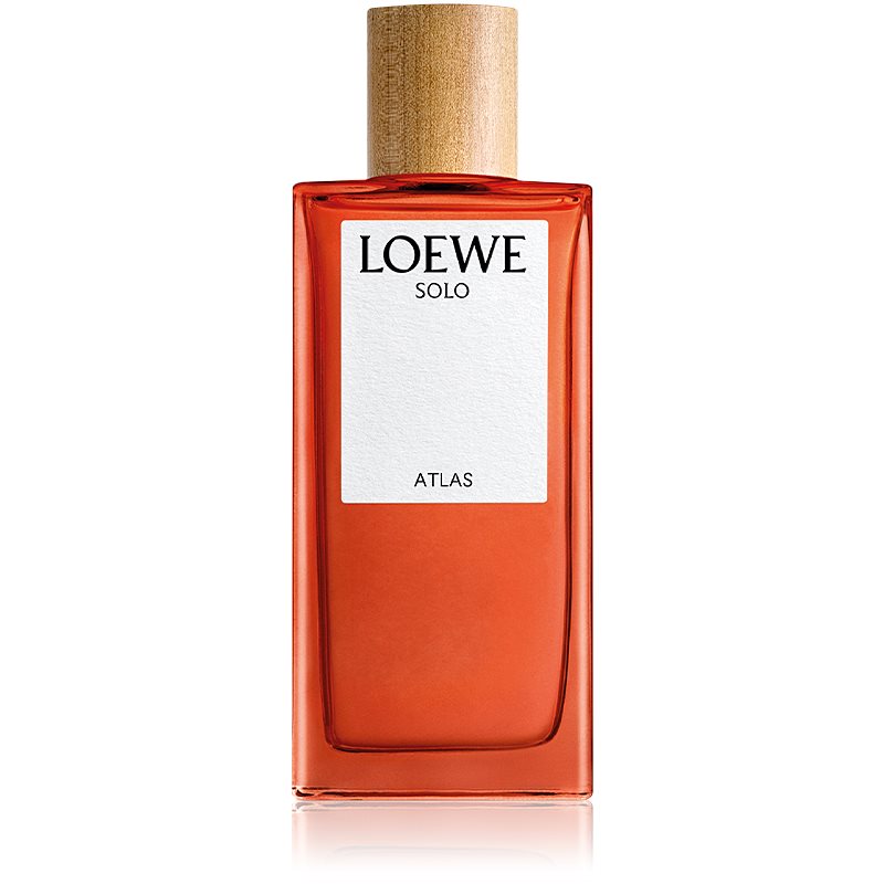 Loewe Solo Atlas parfumska voda za moške 100 ml