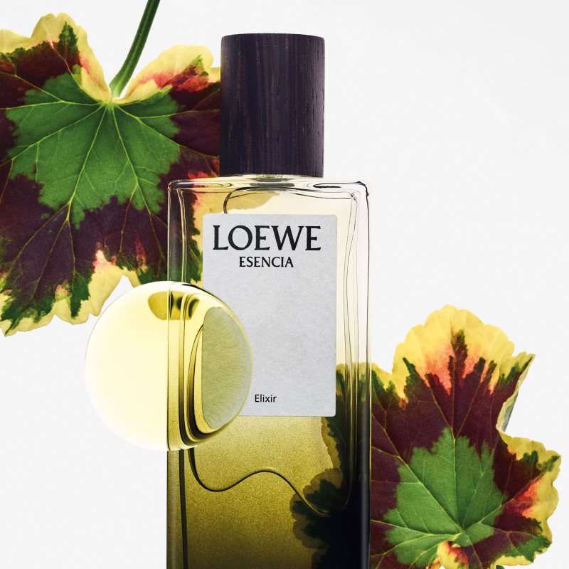 Loewe Esencia Elixir Parfum Pour Homme 50 Ml