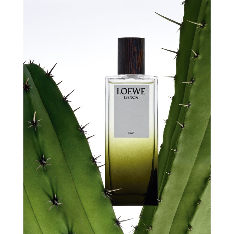 Loewe Esencia Elixir Perfume For Men 100 Ml