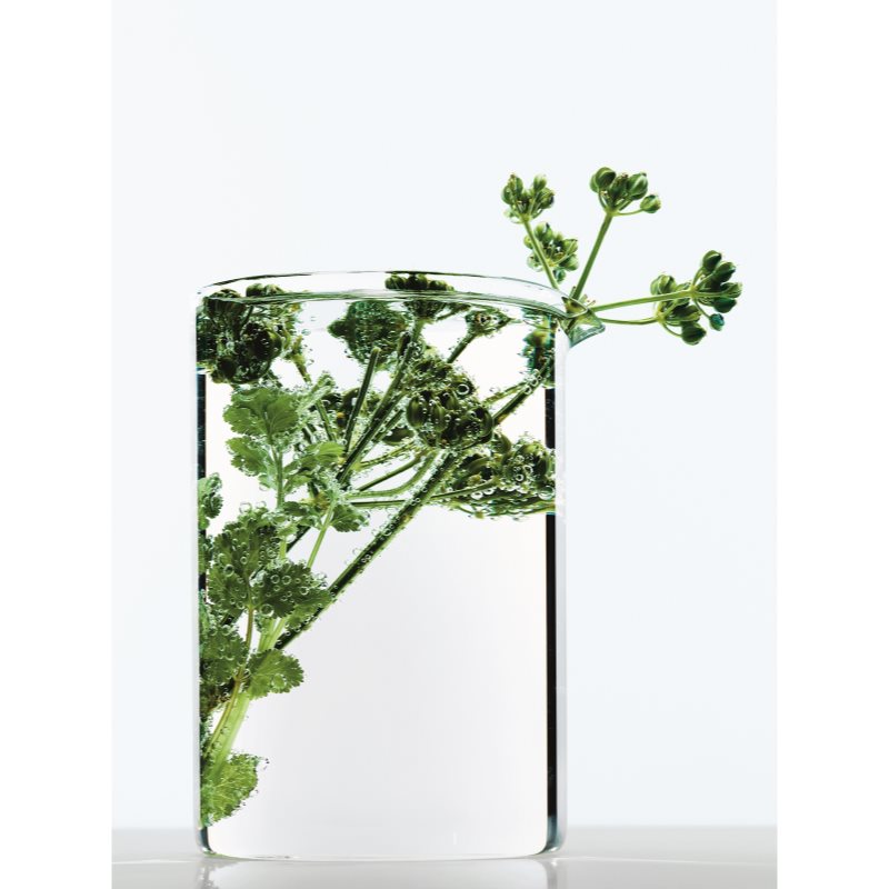 

L’Oréal Paris Botanicals Strength Cure незмивний еліксір для слабкого волосся Coriander