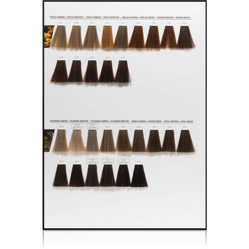 L’Oréal Professionnel Inoa ODS2 Hair Colour Shade 4,15 Mittelbraun Asch Mahagoni 60 G