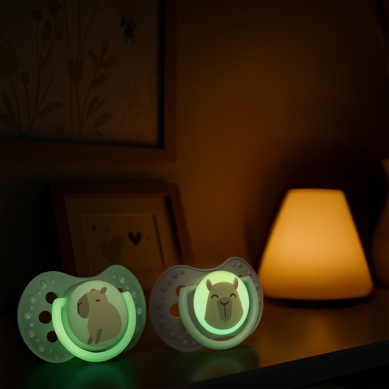 LOVI CAPICHILL 6-18m dudlík Boy 2 ks (obrázek 4)