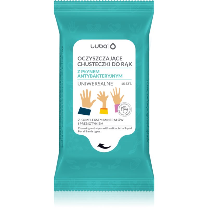 Luba Antibacterial Wet Wipes Niisked puhastusrätikud kätele 15 tk