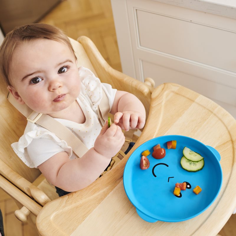 Matchstick Monkey Monkey Plate & Bowl Dinnerware Set Blue(for Children)