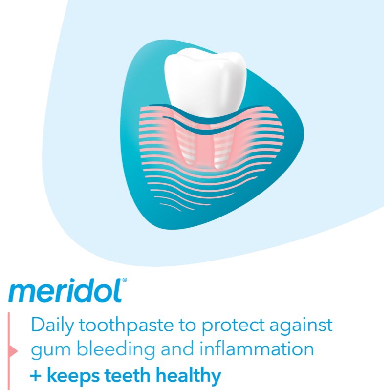 Meridol Gum Protection Dentifrice Qui Stimule La Régénération Des Gencives Irritées 2 X 75 Ml