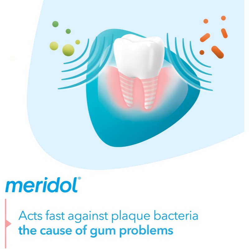 Meridol Gum Protection Dentifrice Qui Stimule La Régénération Des Gencives Irritées 2 X 75 Ml