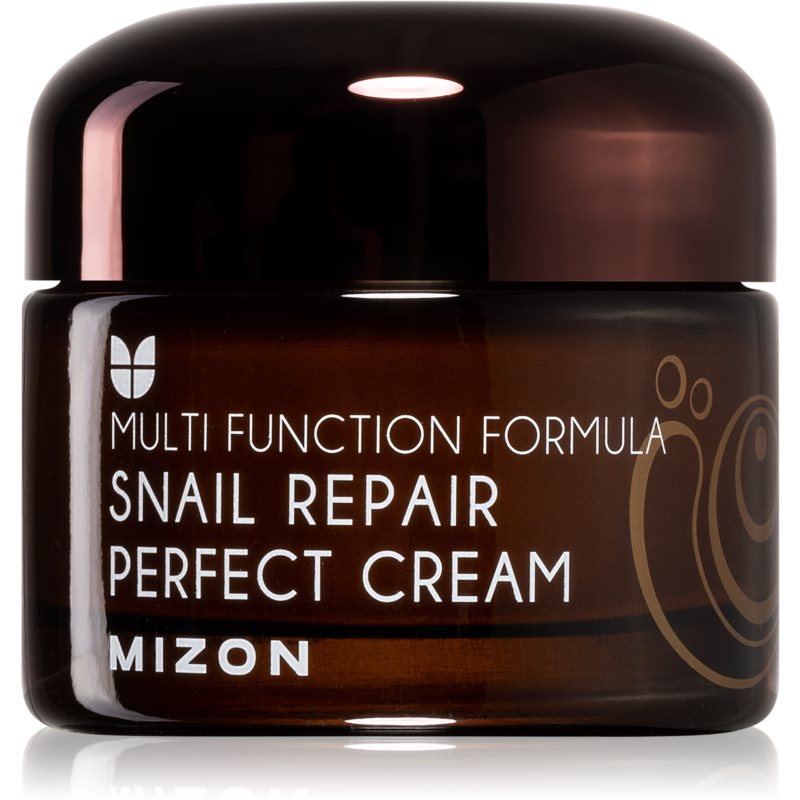 E-shop Mizon Multi Function Formula Snail pleťový krém s filtrátem hlemýždího sekretu 60% 50 ml