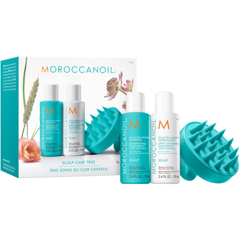 Moroccanoil Scalp Discovery Set set for oily scalp for dandruff