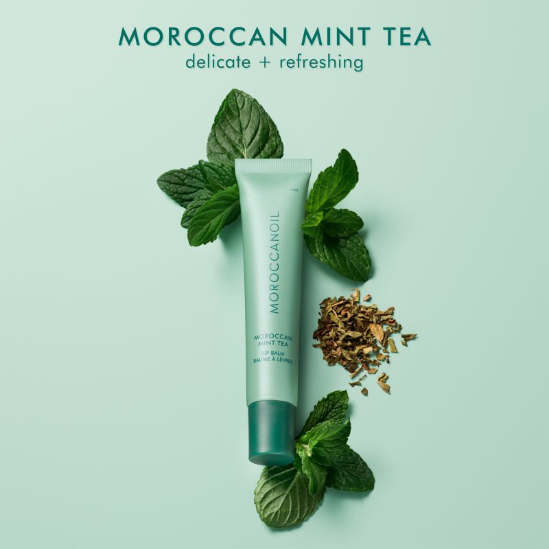 Moroccanoil Lip Balm balzám na rty odstín Moroccan Mint Tea 15 g (obrázek 3)