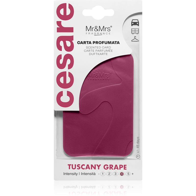 Mr & Mrs Fragrance Cesare Tuscany Grape Duftkerzen 1 St.