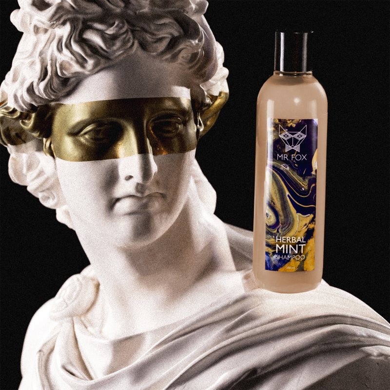 Thumbnail - MR FOX Herbal Mint Shampoo Kräutershampoo für Herren 250 ml