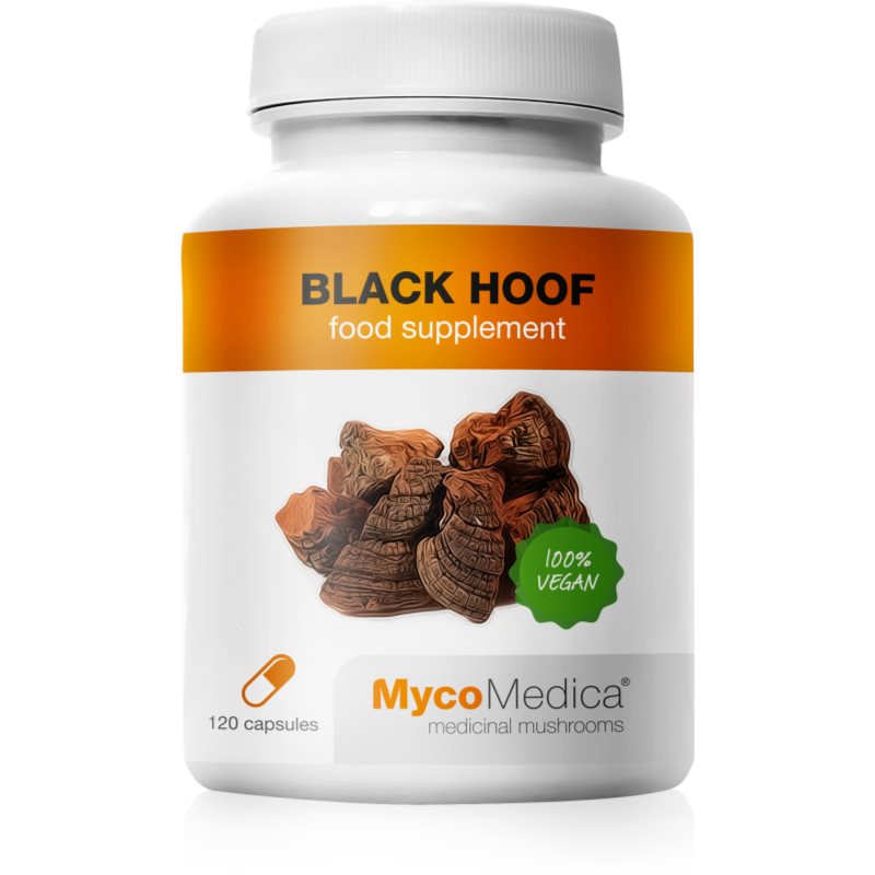 MycoMedica MycoMedica Black Hoof 30% wsparcie prawidłowych funkcji organizmu 90 caps.
