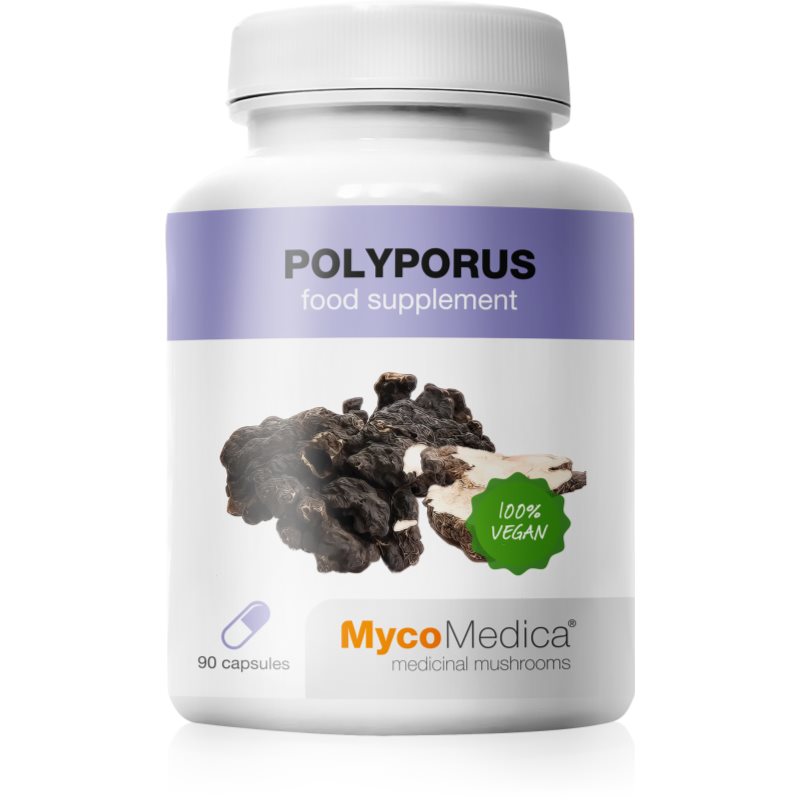 MycoMedica MycoMedica Polyporus 30% kapsułki na piękne włosy i skórę 90 caps.