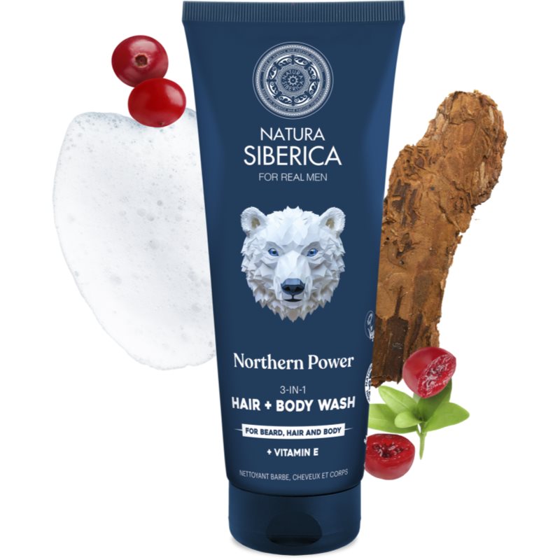Natura Siberica Arctic Wild Northern Power Waschgel für die Haare, den Bart und den Körper für Herren 200 ml