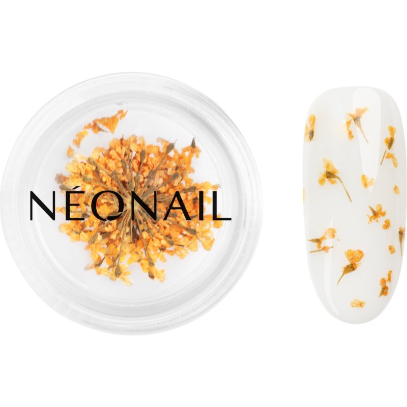 NEONAIL Dried Flowers sušený kvet na nechty odtieň Orange 1 ks