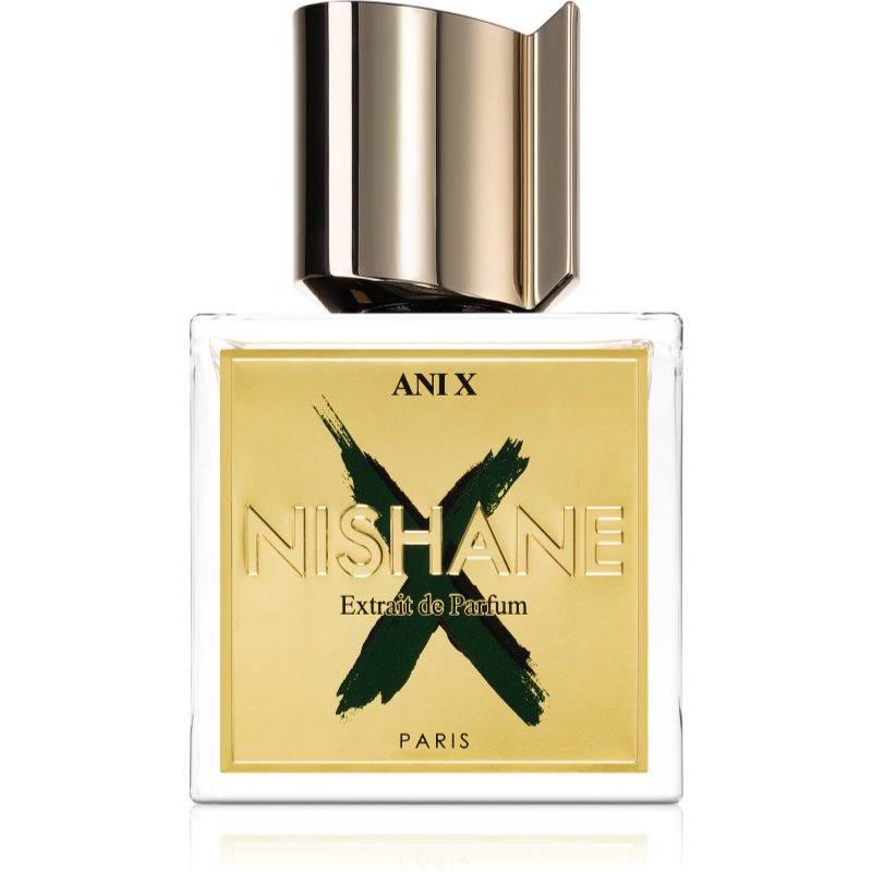 Nishane Nishane Ani X perfume extract unisex 100 ml