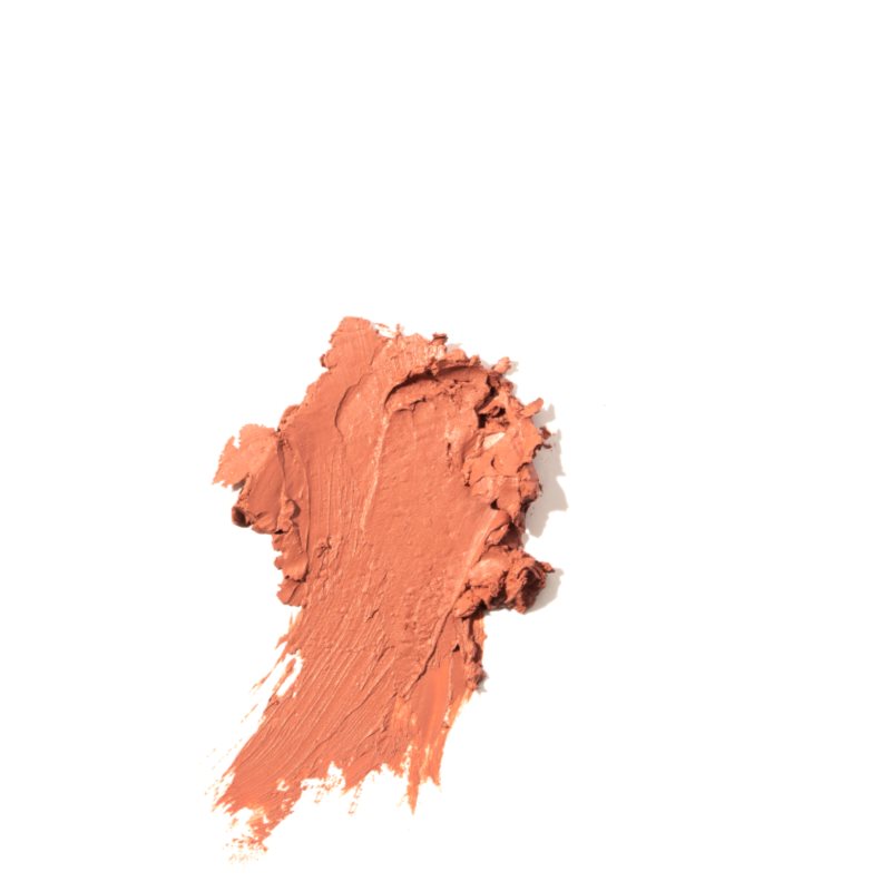 NOBEA Day-to-Day Matte Lipstick Matt Lipstick Shade Sandstone #M20 3 G