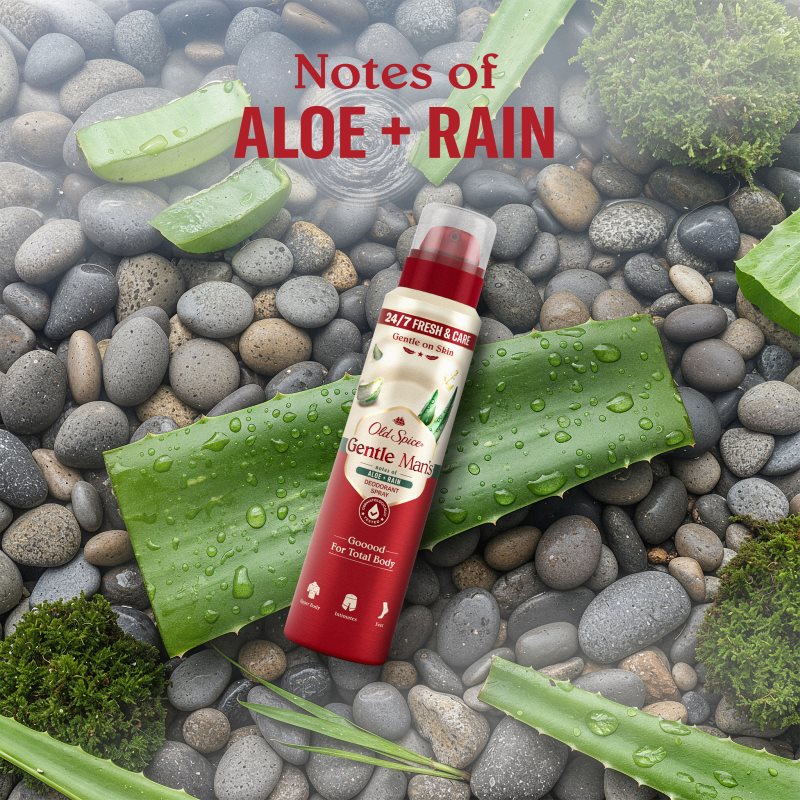 Old Spice Gentle Man's Aloe & Rain dezodorant v spreji bez obsahu hliníka 140 ml (obrázok 3)
