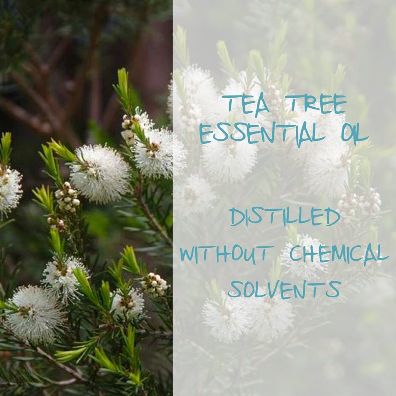 Omia Laboratories Olio Di Melaleuca Shampoing Hydratant Anti-pelliculaire à L'huile D'arbre à Thé 200 Ml