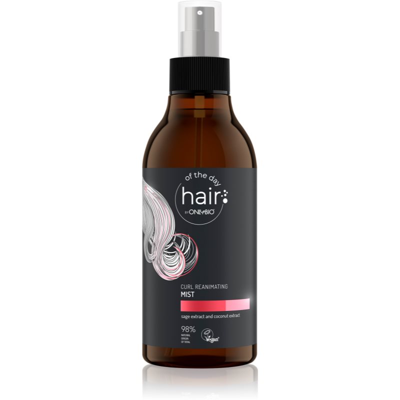 OnlyBio Hair Of The Day leave-in hair treatment for wavy and curly hair 300 ml

