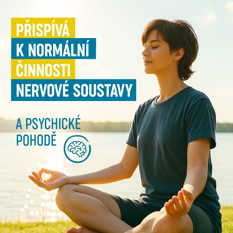 Organis Magnesium Bisglycinate + B6 kapsle pro podporu normální činnosti nervové soustavy, svalů, zubů a snížení míry únavy 60 cps (obrázek 4)