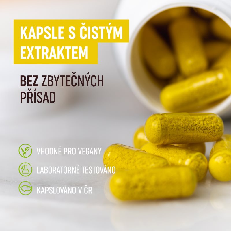 Organis Berberin kapsle pro udržení normální hladiny cukru v krvi 60 cps (obrázek 4)