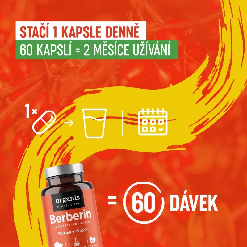 Organis Berberin kapsle pro udržení normální hladiny cukru v krvi 60 cps (obrázek 5)
