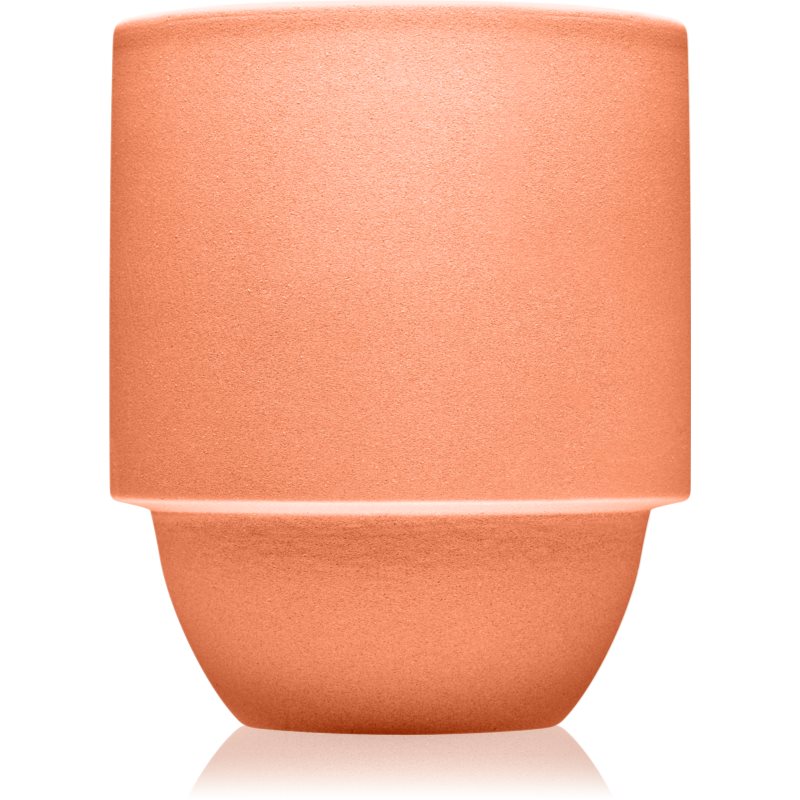 

Paddywax Parks Cactus Flower + Fern aроматична свічка з дерев'яним гнітом