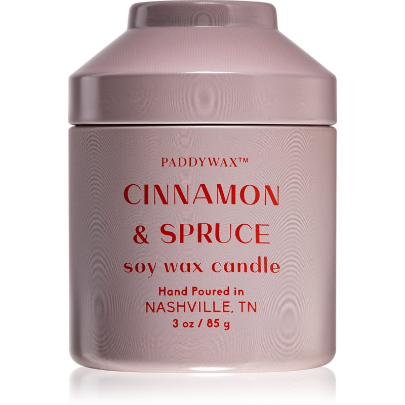 

Paddywax Whimsy Cinnamon & Spruce aроматична свічка