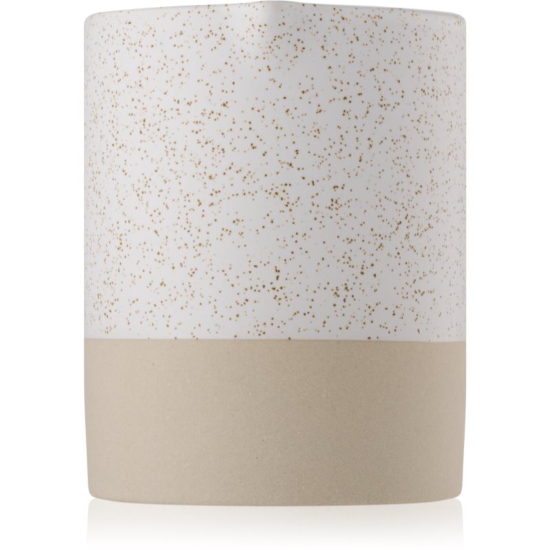 

Paddywax Mesa Black Salt & Birch aроматична свічка