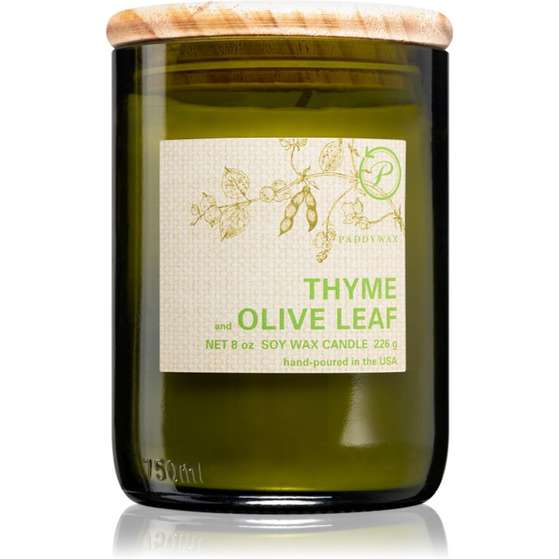 Paddywax Eco Green Thyme & Olive Leaf vonná svíčka 226 g