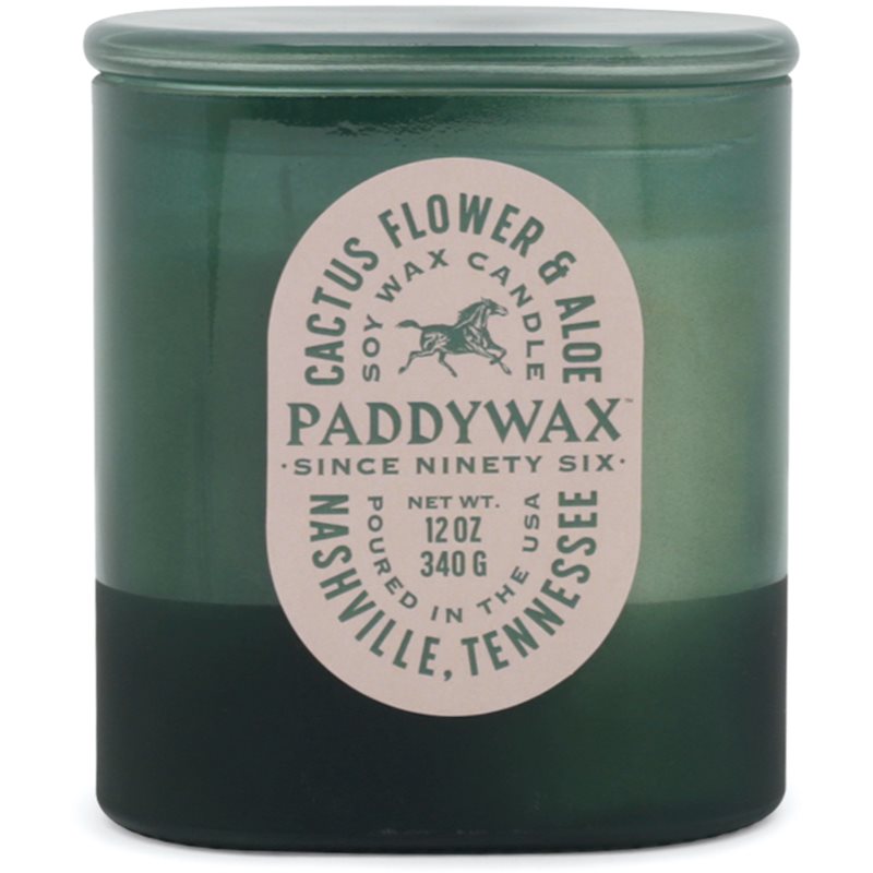 Paddywax Vista Cactus Flower & Aloe vonná svíčka 340 g