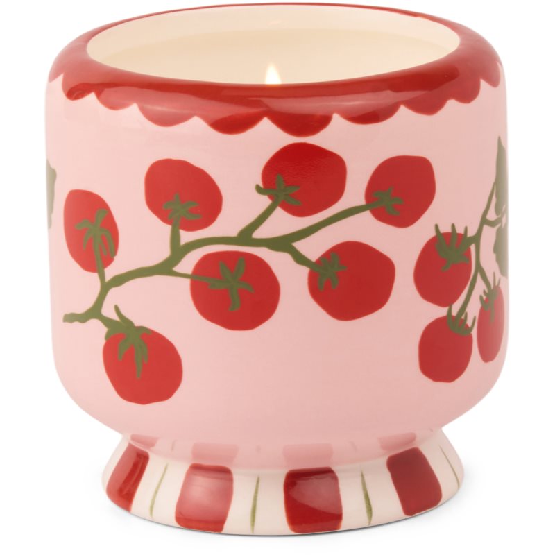 Paddywax A Dopo Tomato Vine vonná svíčka 226 g