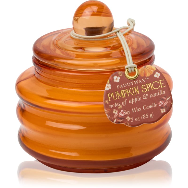 Paddywax Pumpkin Spice Duftkerze 58 g