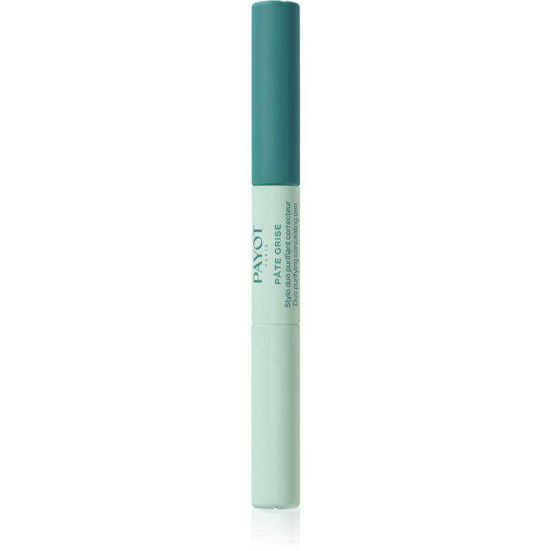 Payot Pate Grise Stylo Duo Purifiant Correcteur imperfection-reducing concealer stick 2x3 ml
