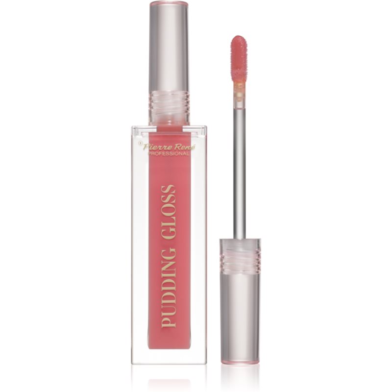 Pierre René Professional Pudding Lip Gloss vlažilni sijaj za ustnice odtenek 01 Gloss Up Honey 5 ml