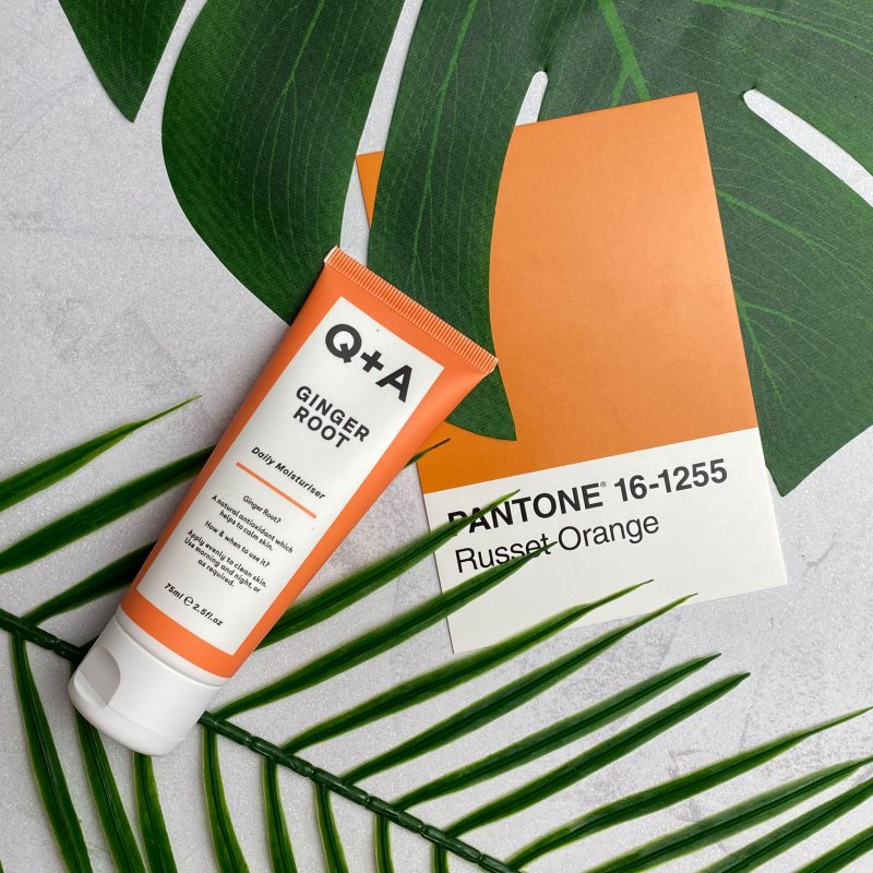 Q+A Ginger Root Intensive Hydrating Cream 75 Ml