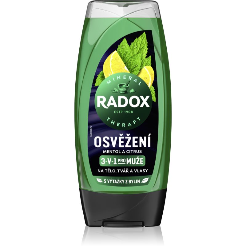 Radox Men Feel Strong gel za tuširanje i šampon 2 u 1 Mint & Tea Tree 225 ml