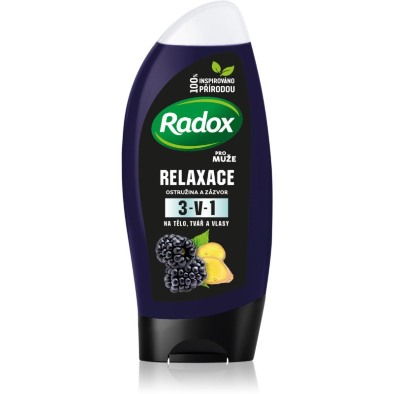 Radox Men Feel Wild dušo želė veidui, kūnui ir plaukams vyrams Blackberry & Ginger 250 ml