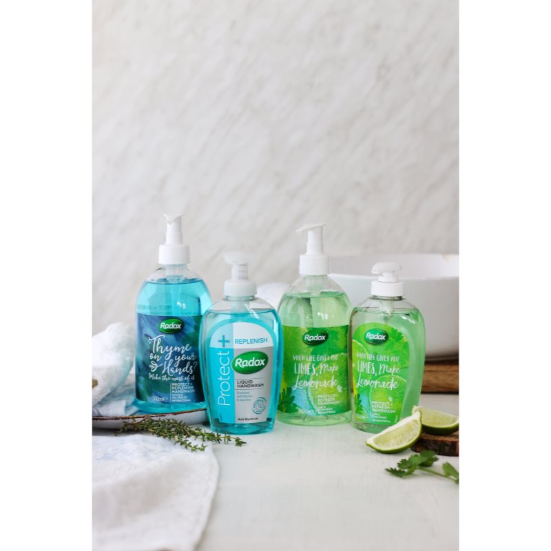 Radox Protect + Replenish Liquid Soap With Antibacterial Ingredients 250 Ml