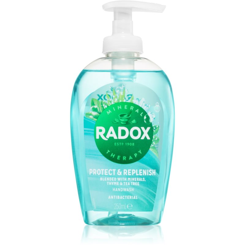 Radox Protect + Replenish liquid hand soap 250 ml
