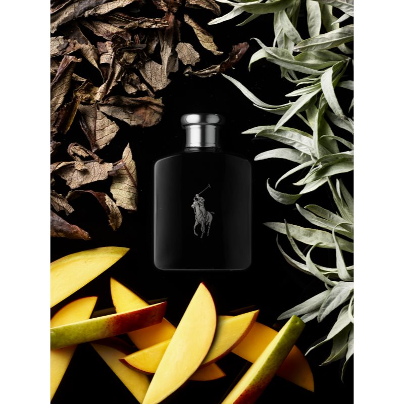 Ralph Lauren Polo Black eau de toilette for men 75 ml