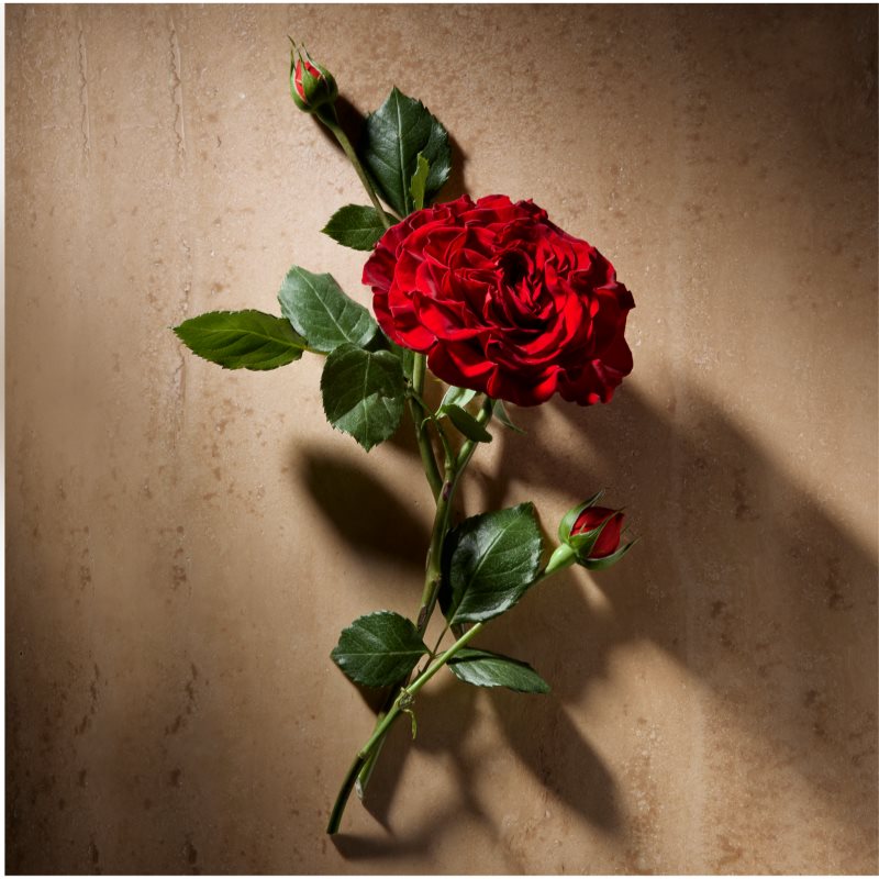 Ralph Lauren Polo Oud Eau De Parfum Pour Homme 125 Ml