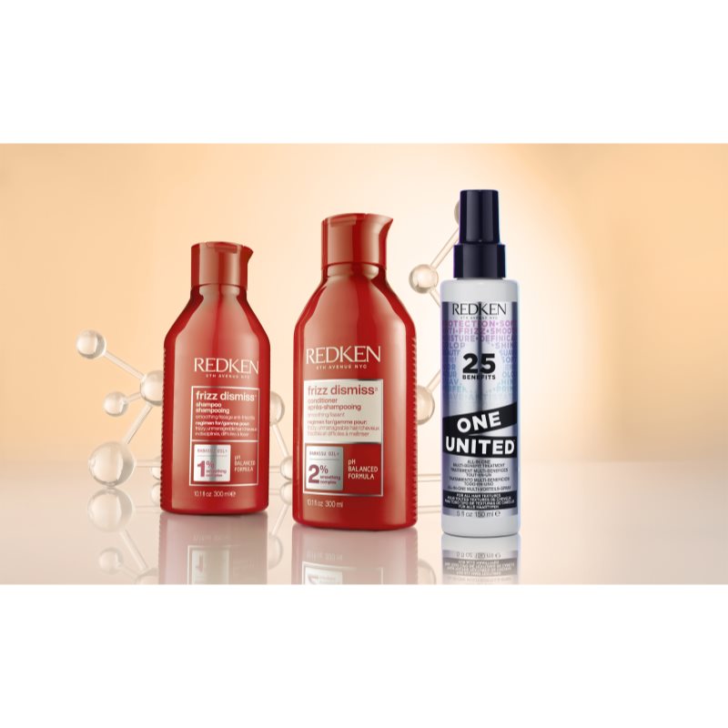 Redken Frizz Dismiss Coffret Cadeau Anti-frisottis