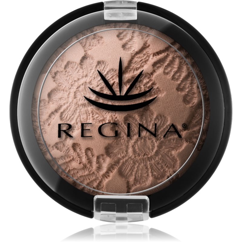 Regina Colors švytėjimo suteikianti pudra 10 g