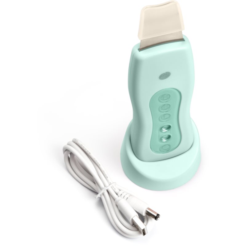 RIO Ultrasonic Facial Ultrasonic Facial Cleansing Device For Face Mint 1 Pc